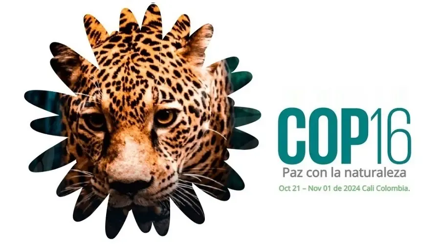 Spiwak Hotels offers exclusive activities during the COP-16 Spiwak Hotels Spiwak Hotels offers exclusive activities during the COP-16 Spiwak Hotels